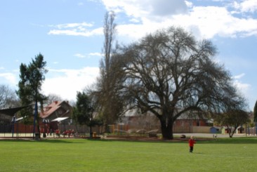 view from the school